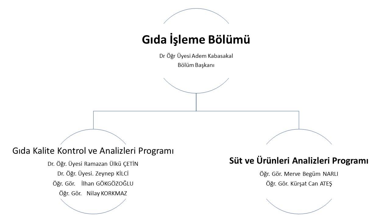 Yönetim Şeması